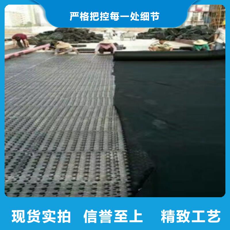蓄排水板_虹吸排水槽廠家好產(chǎn)品放心購(gòu)