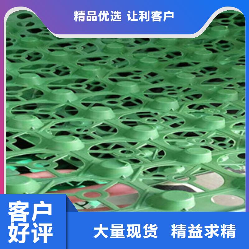 蓄排水板土工膜廠家工廠直供