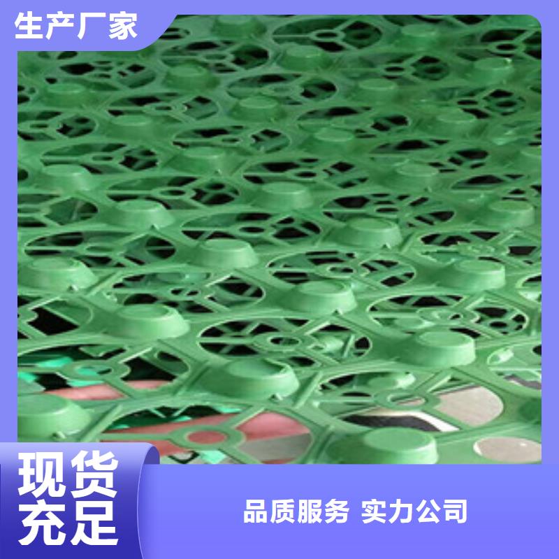 蓄排水板,土工膜廠家嚴(yán)選用料