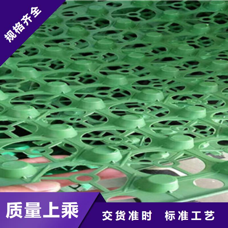 蓄排水板_蓄排水板厂家当地货源