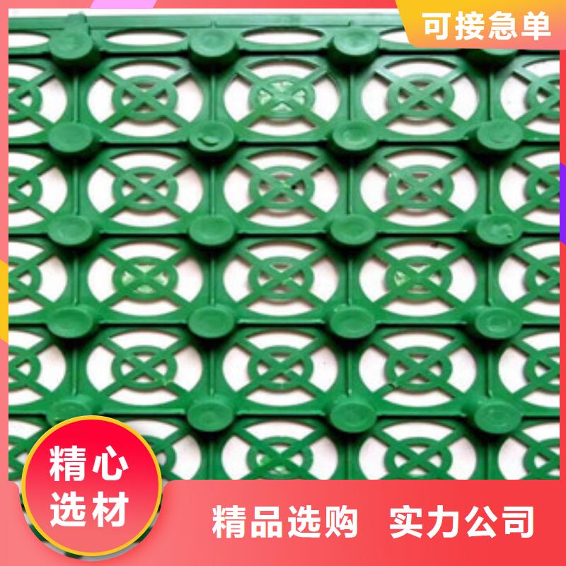 蓄排水板虹吸排水槽厂家买的是放心