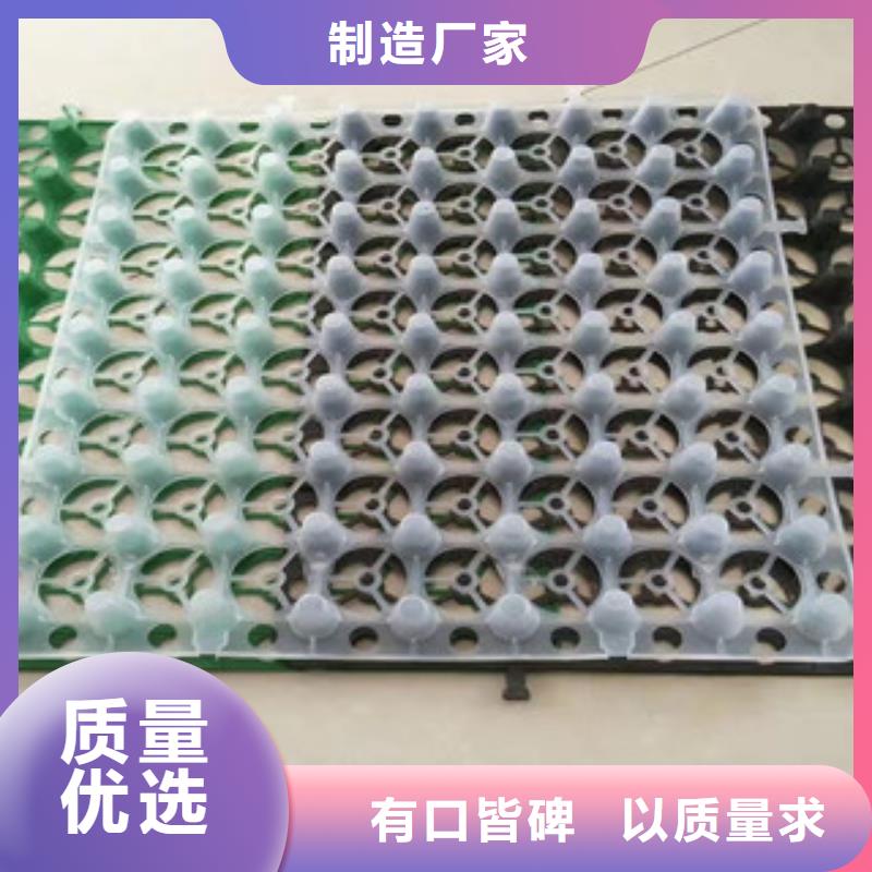 蓄排水板虹吸排水板廠家好廠家有擔(dān)當(dāng)