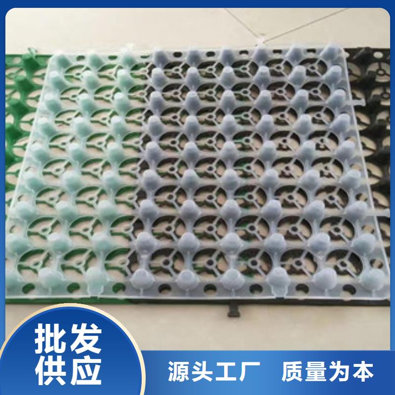 蓄排水板植草格廠家打造好品質(zhì)