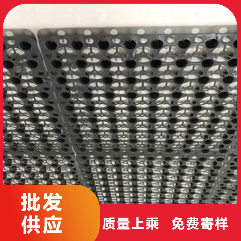蓄排水板膨潤土防水毯廠家多種規(guī)格供您選擇