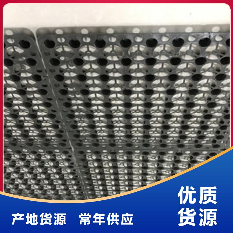 蓄排水板蓄排水板廠家一致好評(píng)產(chǎn)品