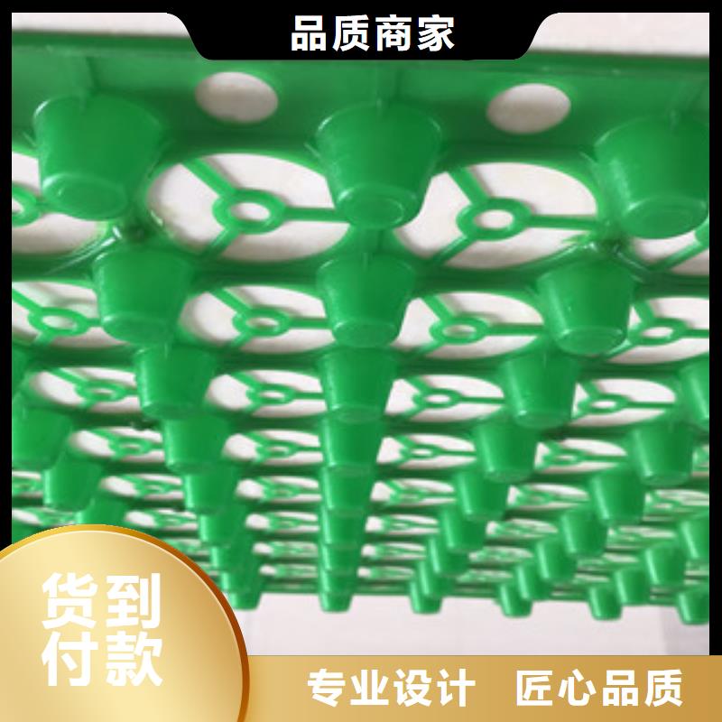 蓄排水板,土工膜廠家顏色尺寸款式定制