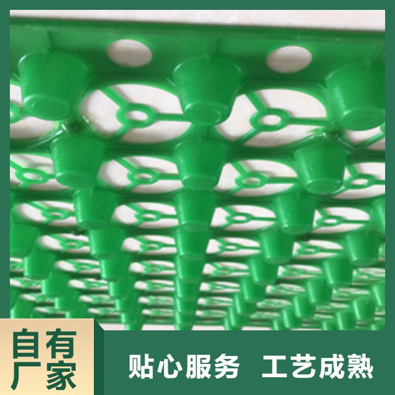 蓄排水板虹吸排水槽厂家买的是放心