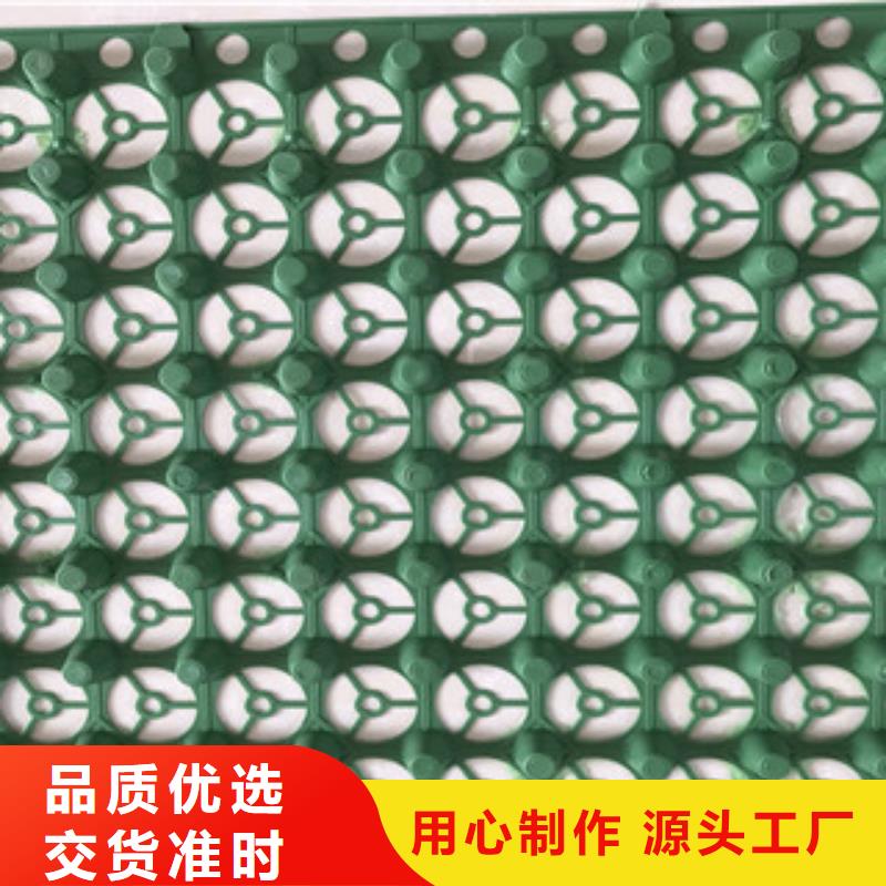 蓄排水板,土工膜厂家颜色尺寸款式定制