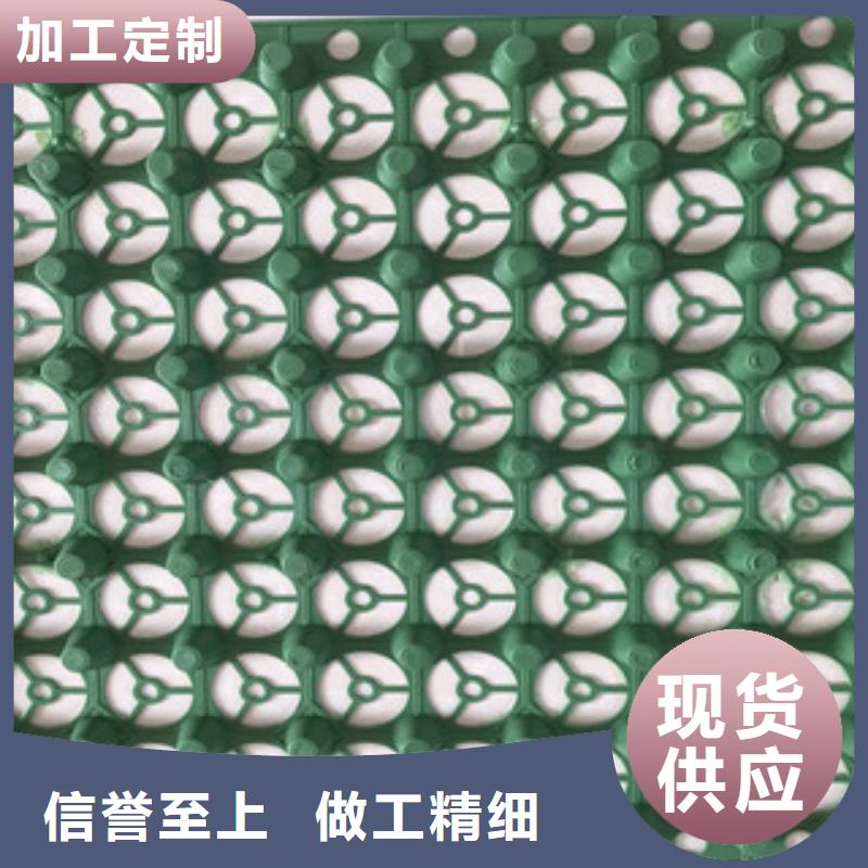 蓄排水板,土工膜廠家顏色尺寸款式定制