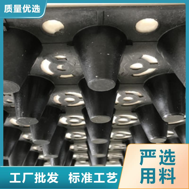 蓄排水板排水板廠家廠誠信經(jīng)營