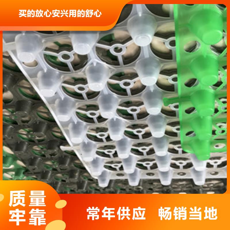 蓄排水板膨润土防水毯厂家多种规格供您选择