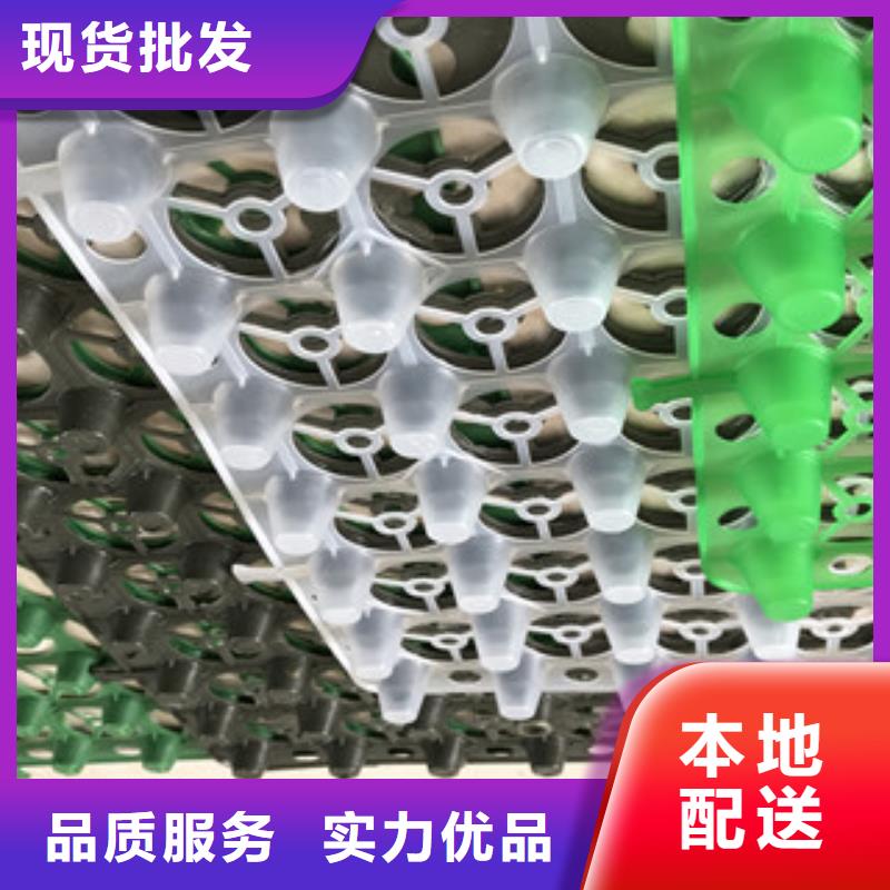 蓄排水板排水板廠家支持非標定制