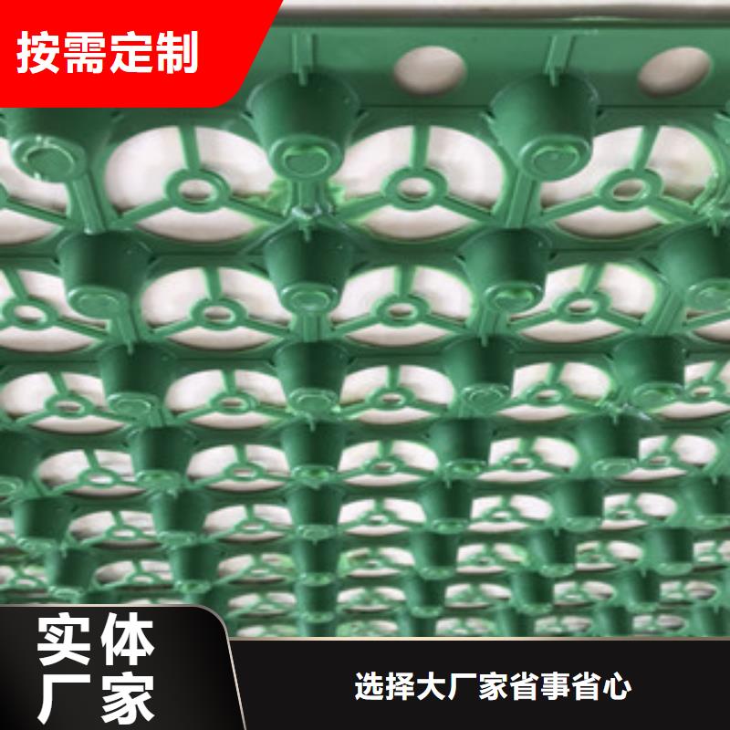 蓄排水板蓄排水板廠家制造廠家
