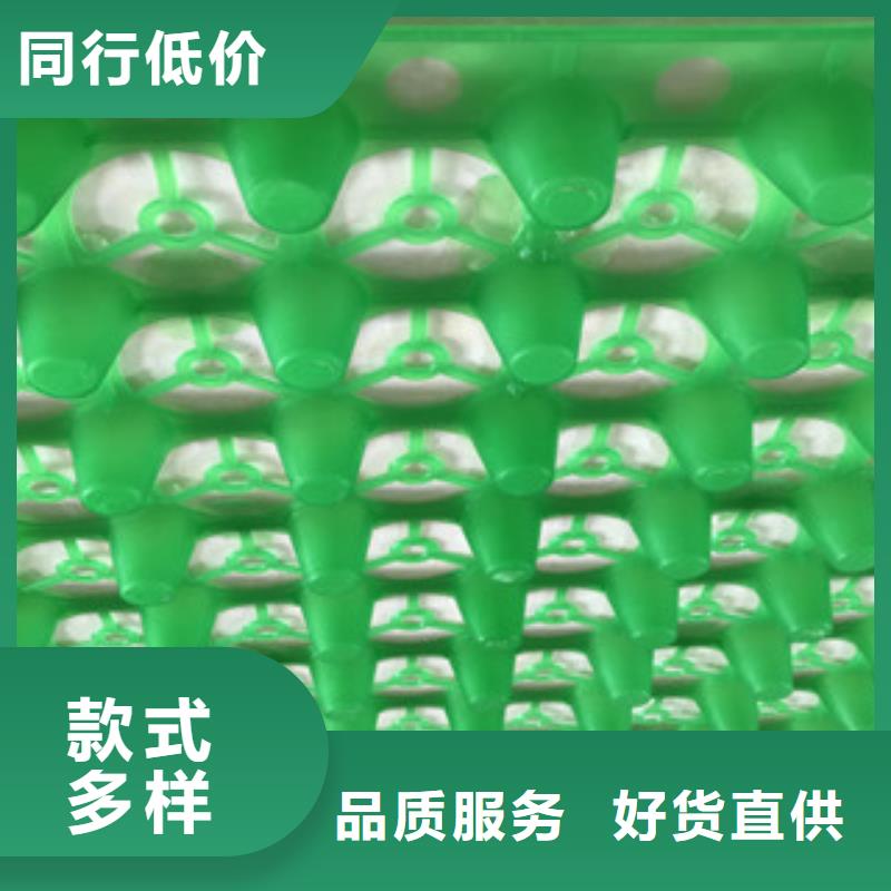 蓄排水板蓄排水板廠家制造廠家