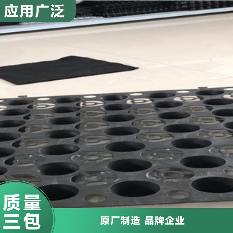蓄排水板排水板廠家支持非標定制