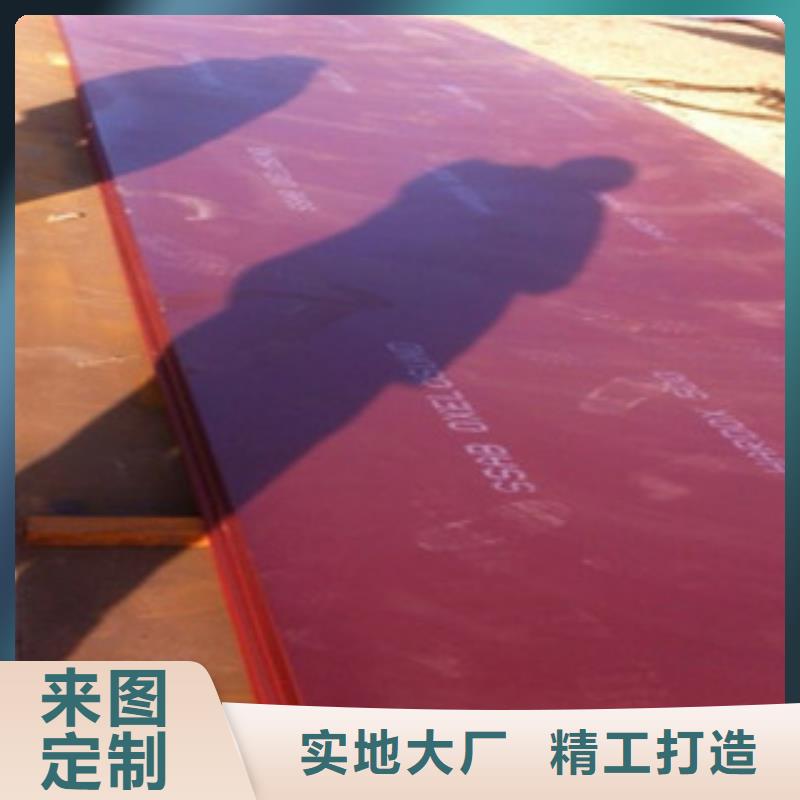 進(jìn)口耐磨板-彈簧鋼片專注細(xì)節(jié)使用放心