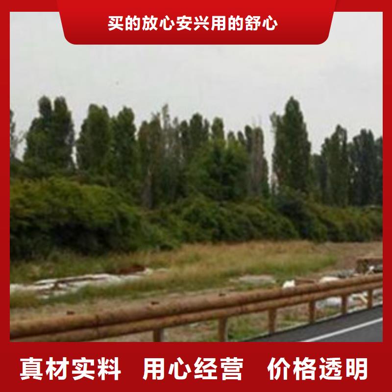 鋼背木護欄橋梁燈光護欄精工制作