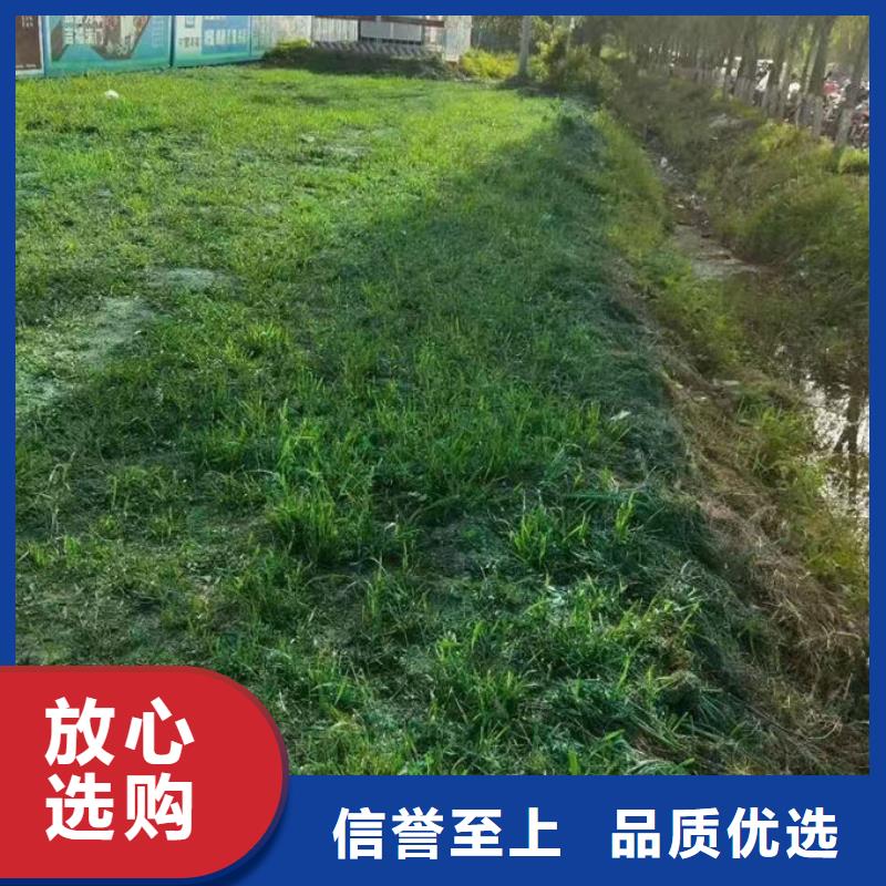運(yùn)煤火車(chē)結(jié)殼抑塵劑來(lái)電咨詢