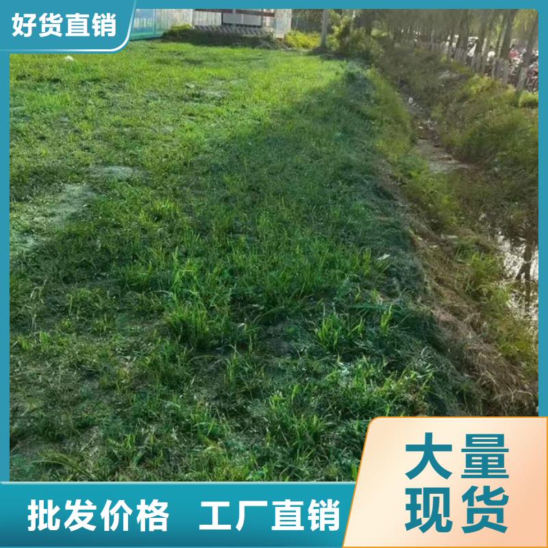 鐵路抑塵劑廠家自營(yíng)
