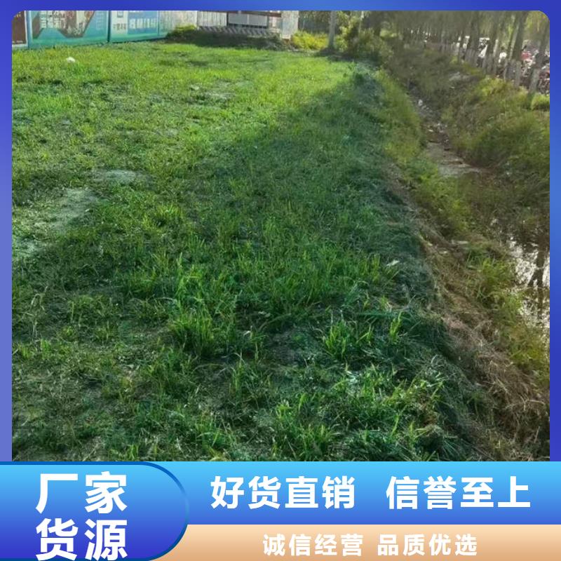 大氣污染治理抑塵劑廠家供應(yīng)