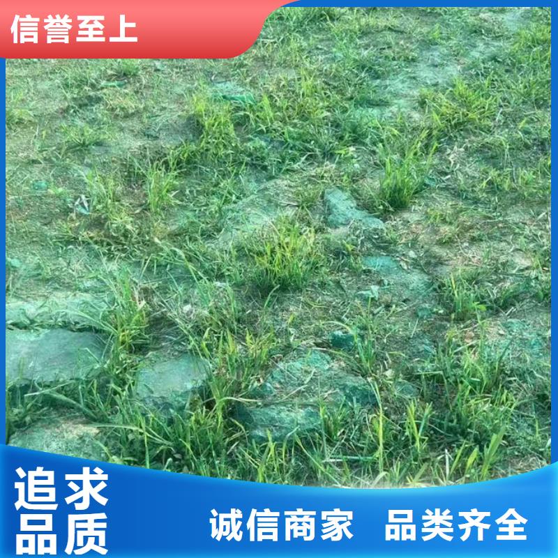 綠色結(jié)殼抑塵劑廠家供應(yīng)
