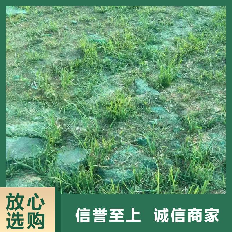 環(huán)保抑塵劑優(yōu)質(zhì)原料