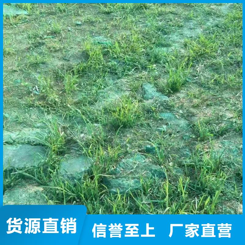 大氣污染治理抑塵劑廠家供應(yīng)