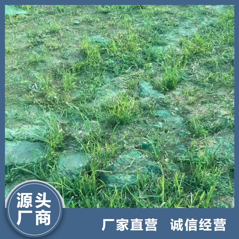 煤炭礦山抑塵劑量大從優(yōu)