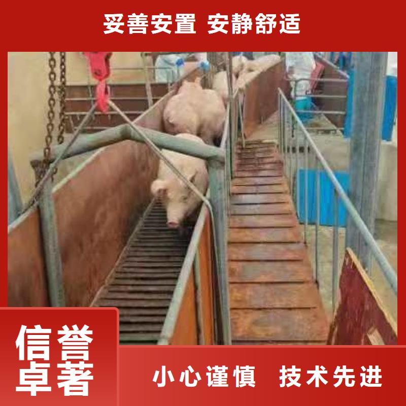 宿遷到仔豬恒溫車(chē)運(yùn)輸全程護(hù)航