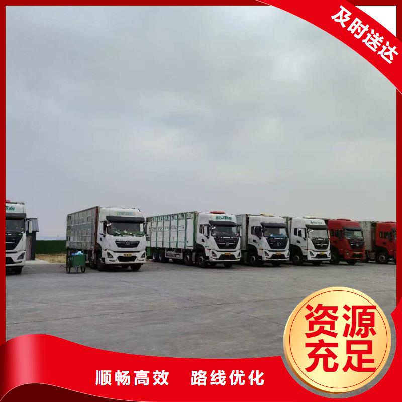 宿遷到仔豬恒溫車(chē)運(yùn)輸全程護(hù)航