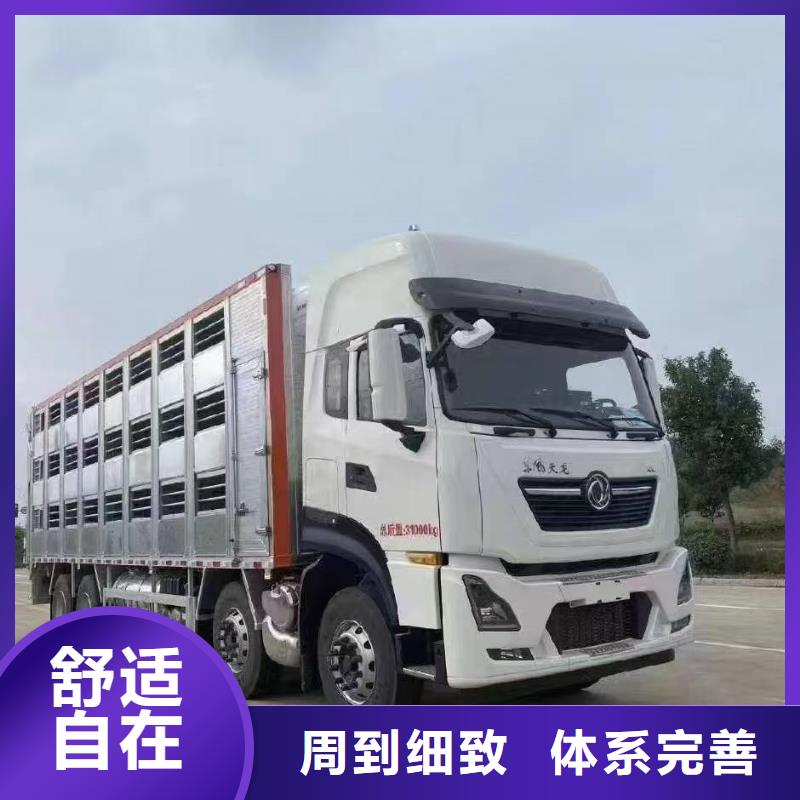 宿遷到豬牛羊運(yùn)輸口碑良好