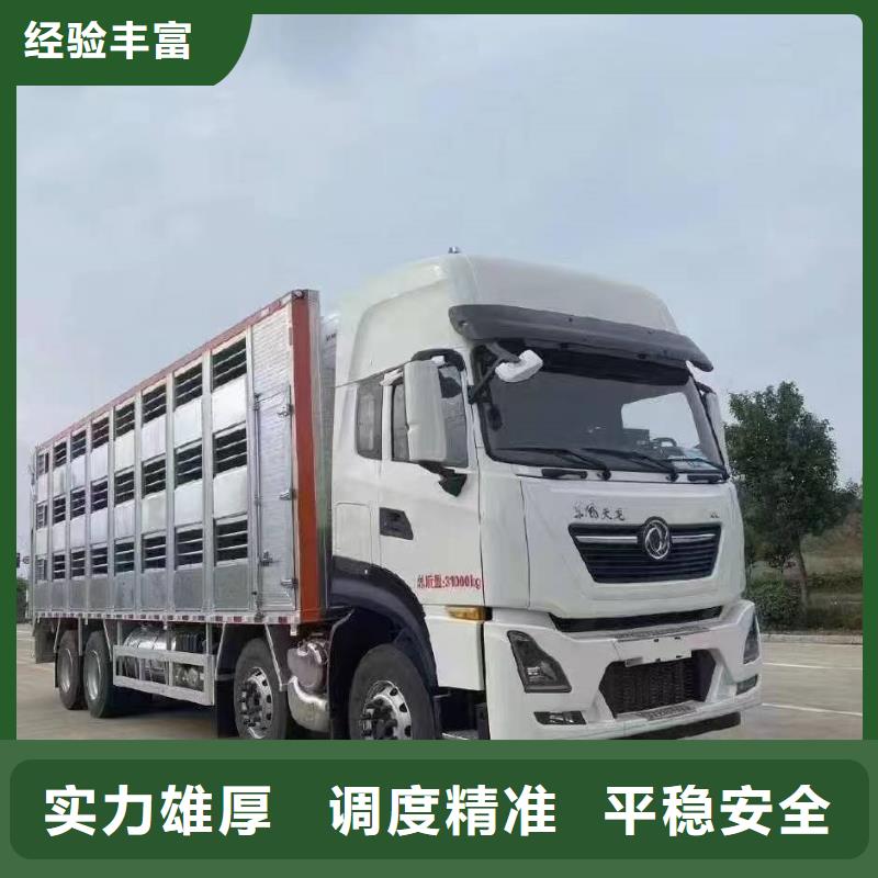 宿遷泗洪到豬籠車(chē)運(yùn)輸
