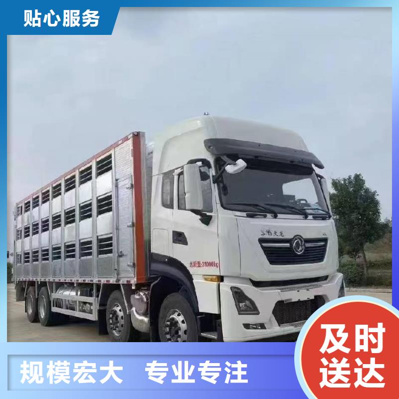 宿遷到種豬恒溫車運(yùn)輸設(shè)備精良