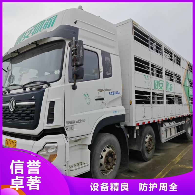 宿遷到種豬恒溫車運(yùn)輸設(shè)備精良