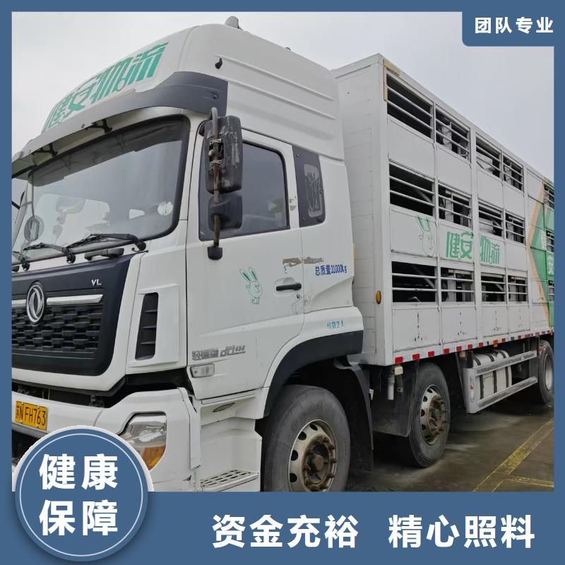 宿遷市沭陽到仔豬運輸及時送達