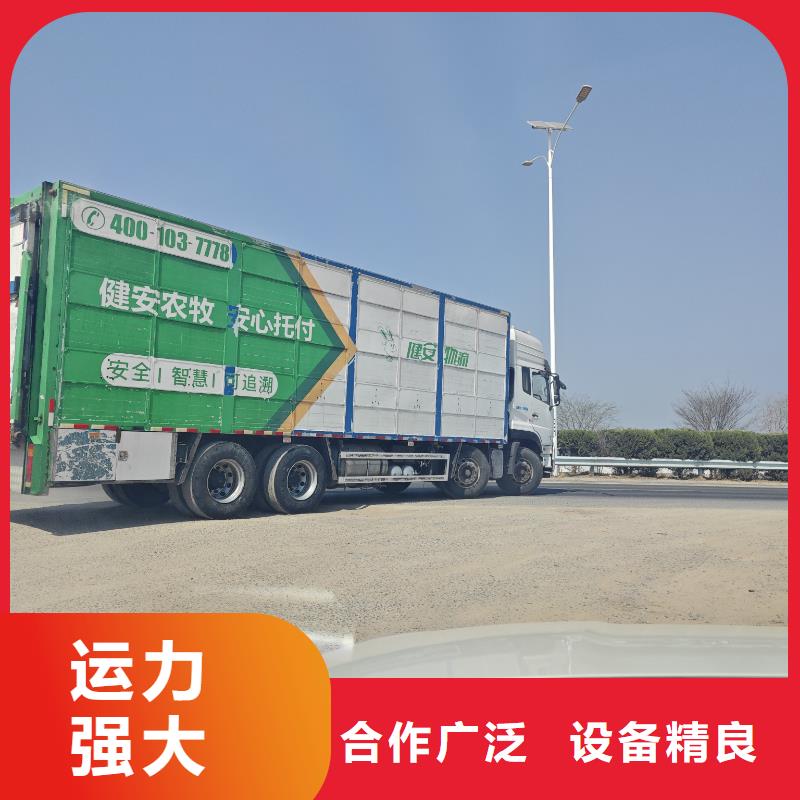 宿遷到豬只運(yùn)輸專用車支持到付