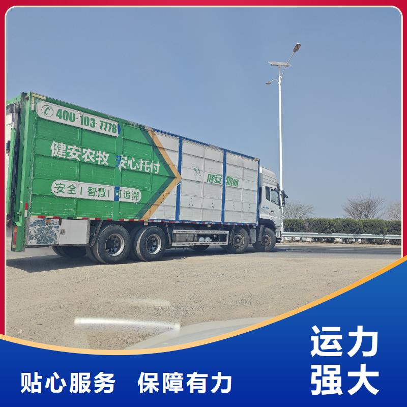 宿遷到仔豬恒溫車運(yùn)輸全程高速
