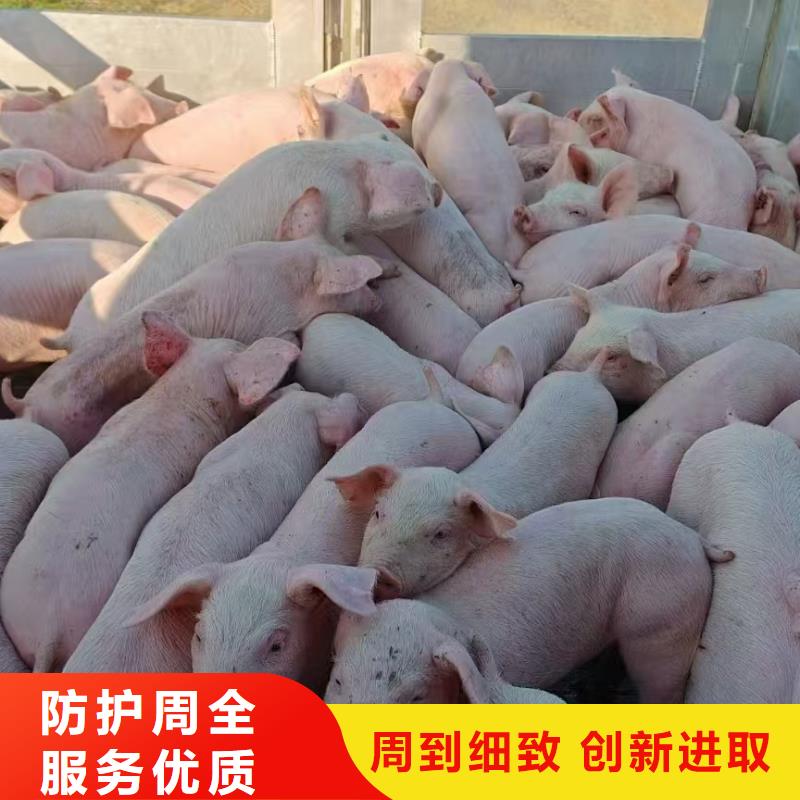 宿遷泗陽到二育運輸