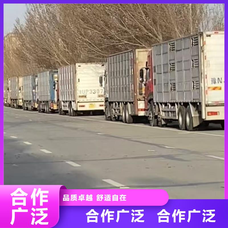 宿遷到種豬恒溫車運輸設(shè)備精良