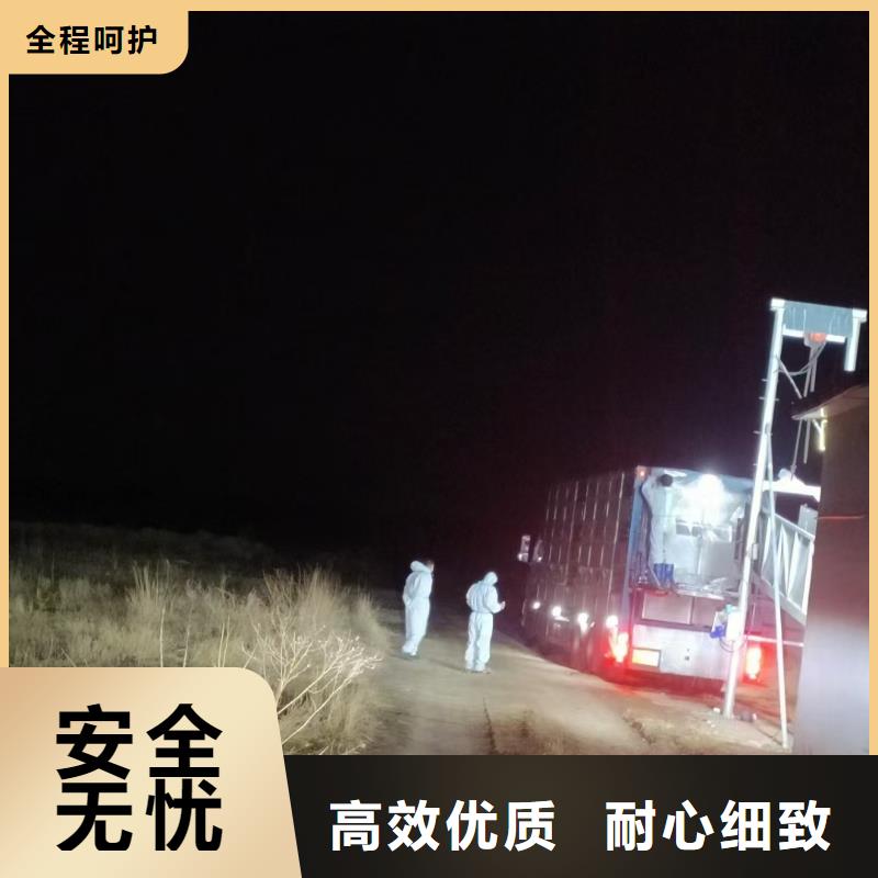 宿遷到牛運(yùn)輸方便快捷
