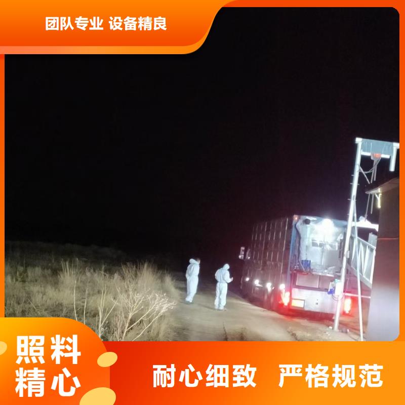 宿遷市到仔豬恒溫車運輸規(guī)模宏大