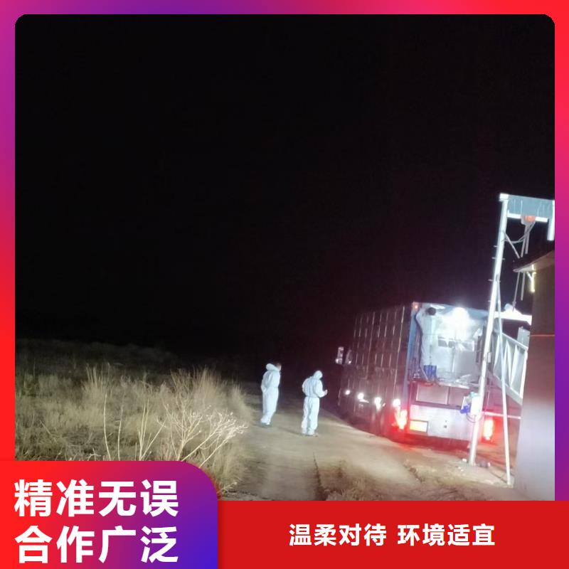 宿遷市泗洪到種豬空調(diào)車運輸細致入微