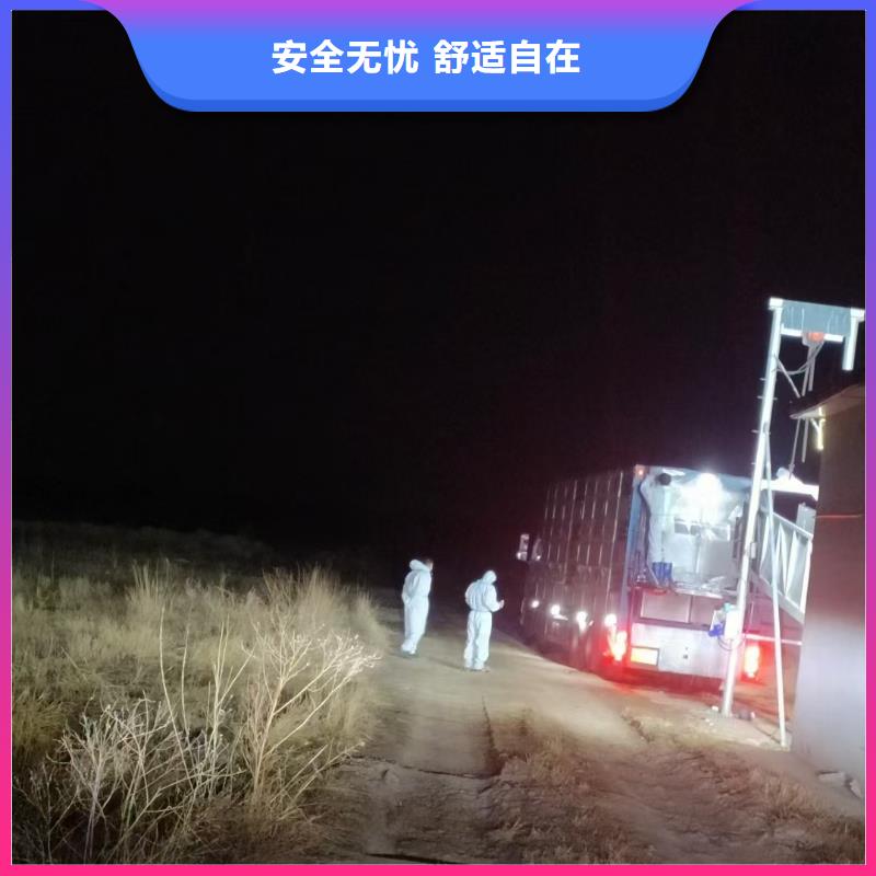 宿遷到種豬恒溫車運輸設(shè)備精良