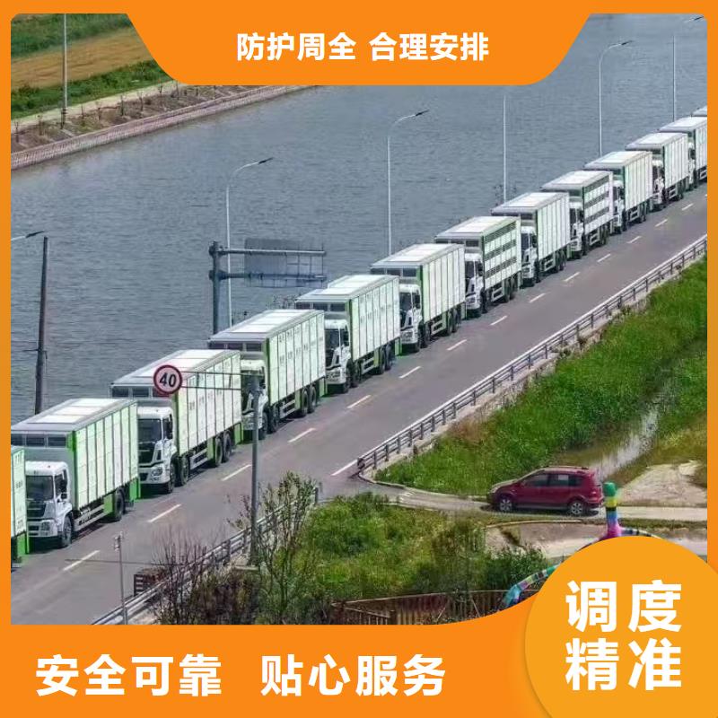 宿遷市泗洪到種豬空調(diào)車運輸細致入微