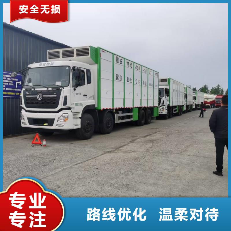 宿遷市泗洪到種豬空調(diào)車運輸細致入微