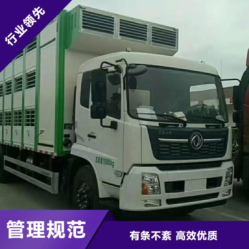 宿遷到種豬恒溫車運(yùn)輸設(shè)備精良