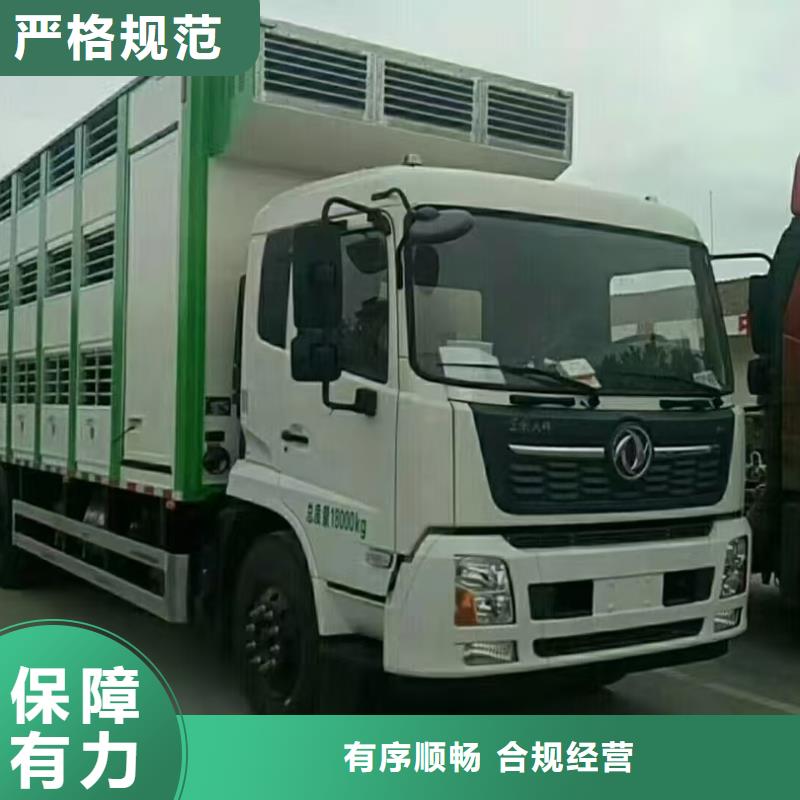 宿遷到仔豬運(yùn)輸快捷