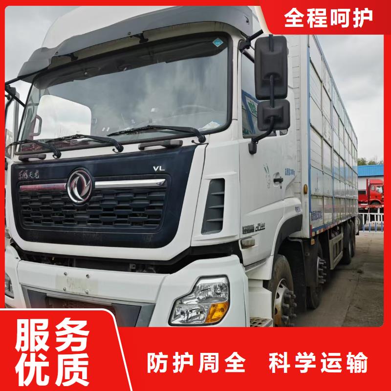 宿遷市泗洪到種豬空調(diào)車運輸細致入微