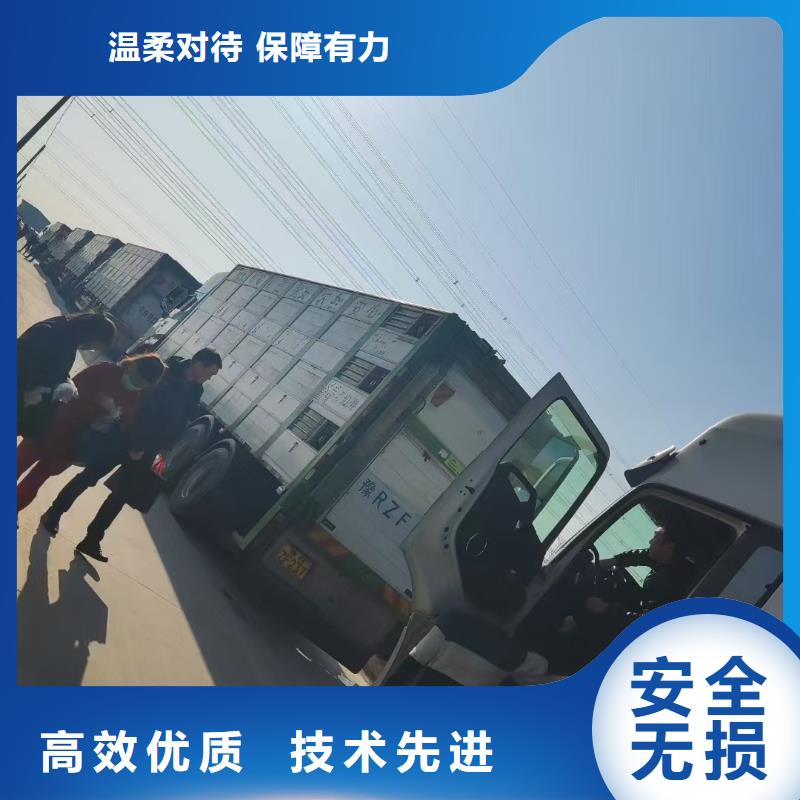 宿遷到畜禽運輸規(guī)模宏大