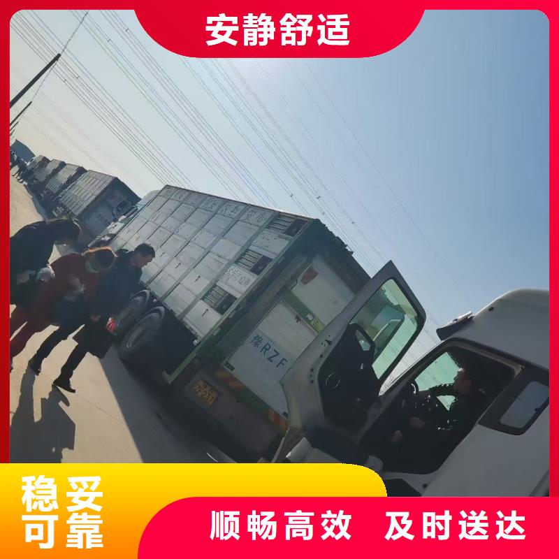 宿遷市沭陽到仔豬運輸及時送達